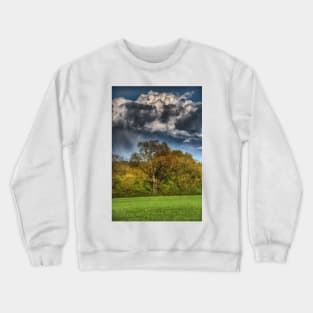 A Ladder to the Clouds Crewneck Sweatshirt